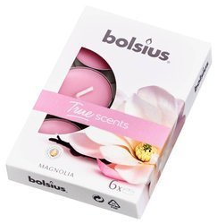Podgrzewacz True scents magnolia op. 6 szt