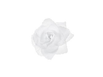 Różyczki do przylepiania, biały, 9cm (1 op. / 24 szt.)